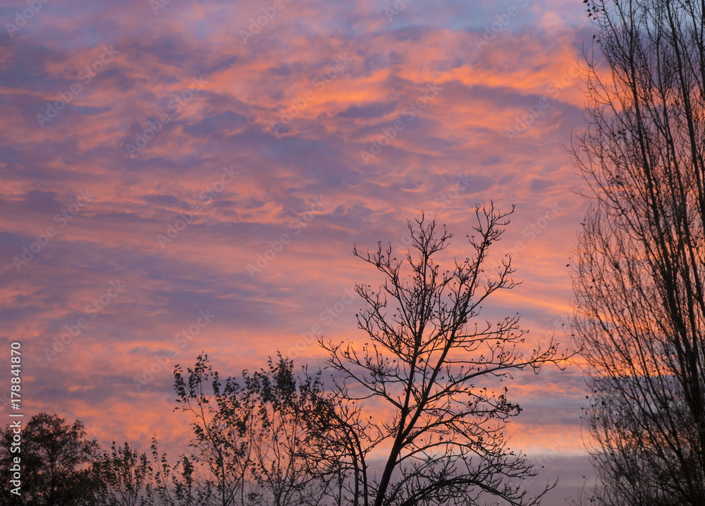 sky sunset trees sky sunset trees