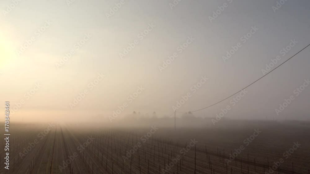 timelapse shot of fog on Italian countryside in a winter day timelapse shot of fog on Italian countryside in a winter day