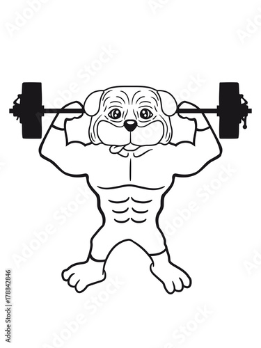 gewicht heben hantel stark muskeln bodybuilder trainieren fitness pumpen posen mops klein dick hund welpe süß niedlich haustier comic cartoon © Style-o-Mat-Design