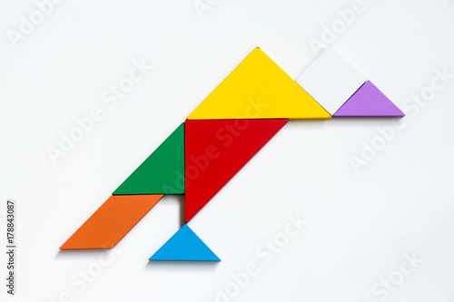 Free Download Colorful wood tangram puzzle in vulture shape on white background - GFXLoad