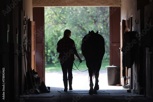 Walking Horse Silhouette