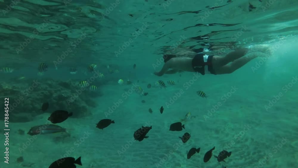 A man floats on the surface in a mask and looks at school of tropical fish
A man floats on the surface in a mask and looks at school of tropical fish
