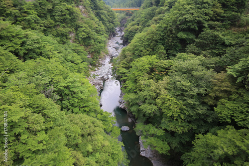 徳島県三好市 竜宮崖公園 吊橋からの風景