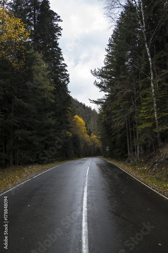 Дорога в лесу, дождь, осенний пейзаж, путешествие на автомобиле