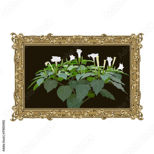 Bronze rectangular frame with the image of a plant a thornapple