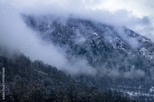 Winter fog in the forest of Pyrenees mountains