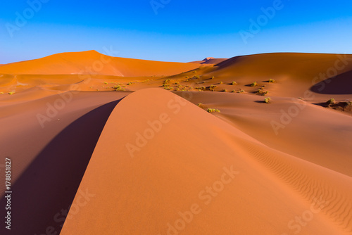 Sossusvlei Sand Dunes  Namib Naukluft National Park  Namib desert  scenic travel destination in Namibia  Africa.