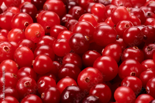 Red berries of cranberries close-up photo