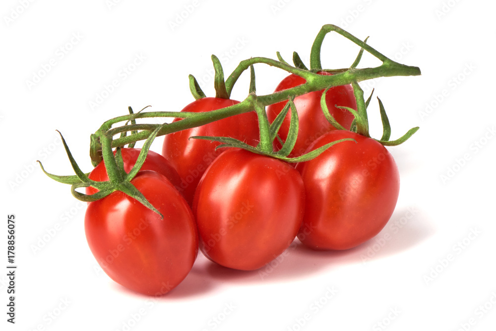 Ripe fresh cherry tomatoes on branch, isolated on white background Ripe fresh cherry tomatoes on branch, isolated on white background
