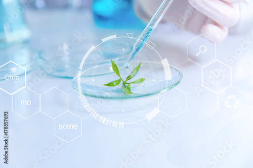 selective focus a small organic plant, Beauty background, scientist is sampling a chemical extract from organic natural, research and develop background,