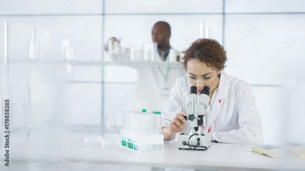 Research scientist working in laboratory, looking at sample under microscope. Research scientist working in laboratory, looking at sample under microscope.