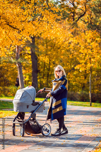 A young mother with a stroller walks through the autumn park. Walking with an infant in the open air in a pine forest. Newborn, family, child, parenthood. © LALSSTOCK