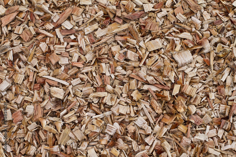Wood chips background. Fresh wood chips for landscaping Wood chips background. Fresh wood chips for landscaping