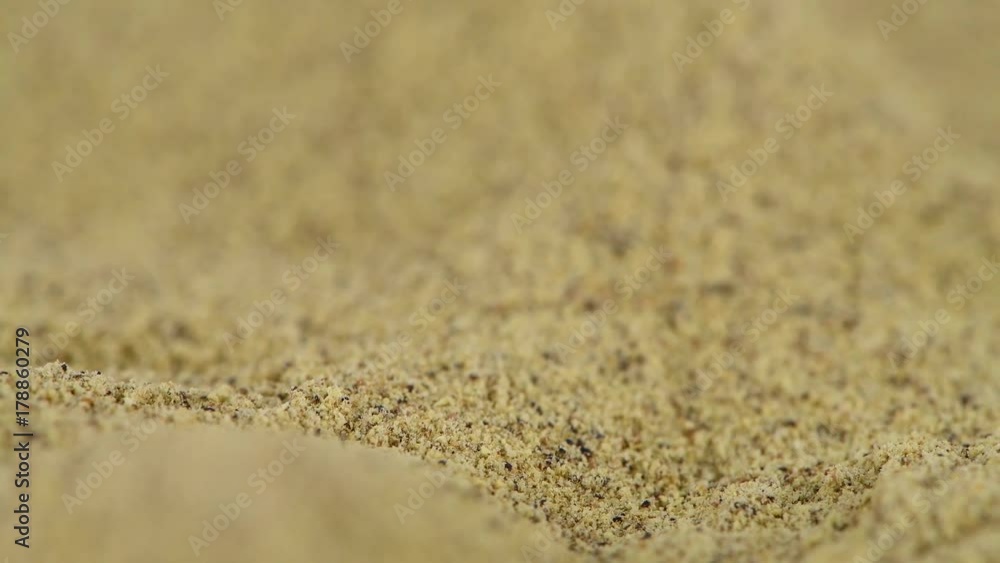 Portion of White Pepper rotating on a wooden plate (not loopale; 4K) Portion of White Pepper rotating on a wooden plate (not loopale; 4K)