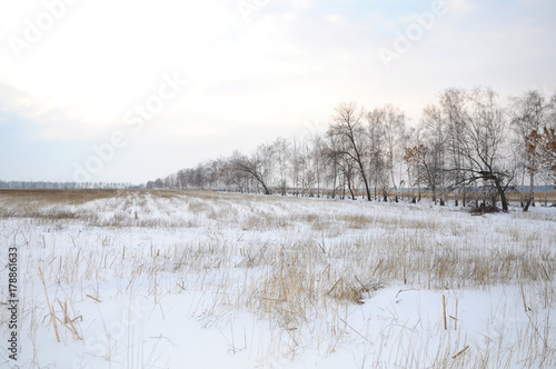 View of the snow-covered field in winter © Mikhail Yakovenko