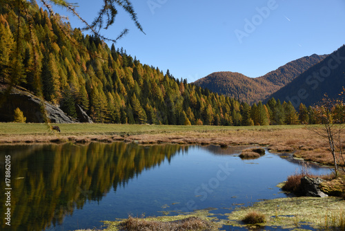 montagna autunno colori autunnali lago alberi natura panorama paesaggio riflesso lago Alpi Trentino paesaggistica foto paesaggi 