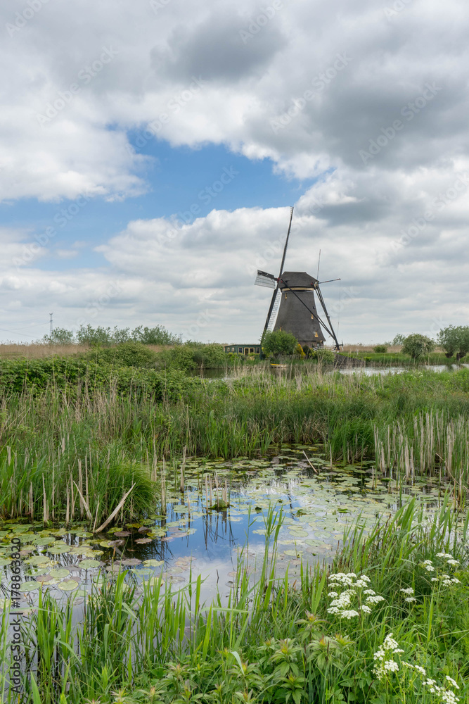 Windmill in Kinderdijk, Netherlands