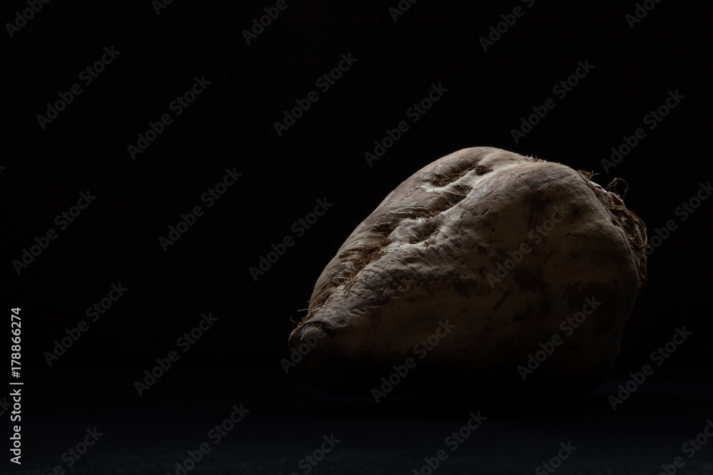 Obraz premium White beet.