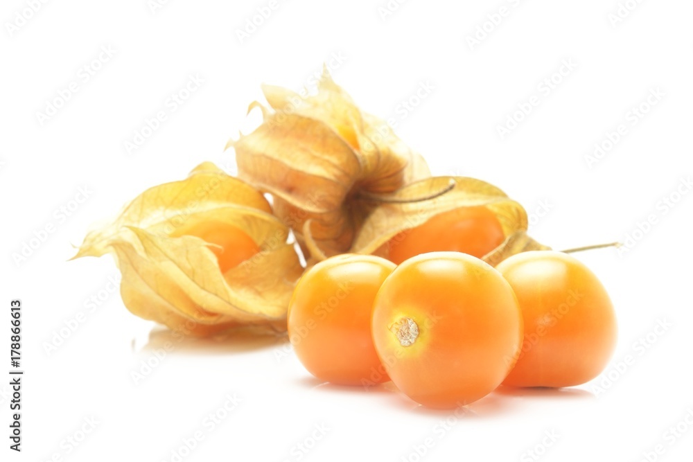 physalis isolated on white background physalis isolated on white background