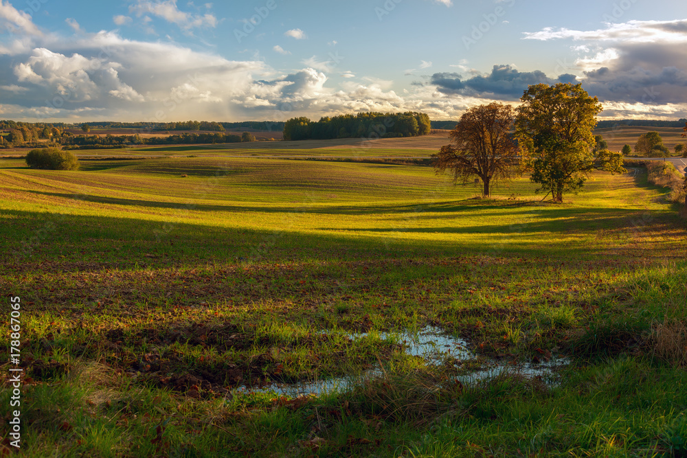 Obraz premium Landscape.