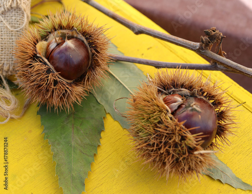 Chestnuts