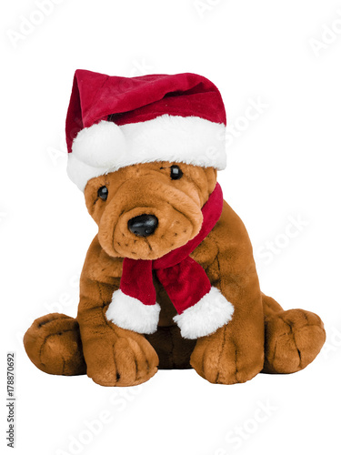 toy dog in santa claus clothes