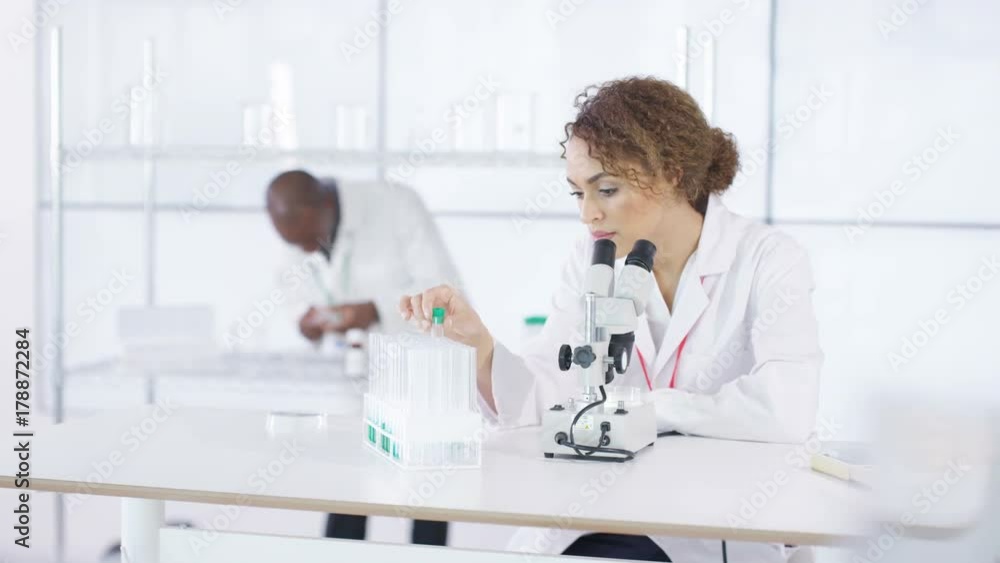 Research scientist working in laboratory, looking at sample under microscope. Research scientist working in laboratory, looking at sample under microscope.