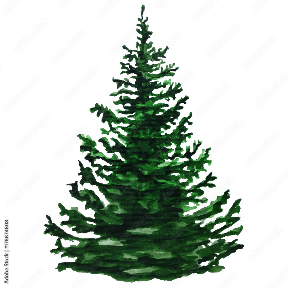 Watercolor Christmas tree Watercolor Christmas tree