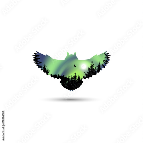 Silhouette of owl with coniferous trees and colorful sky. Green tones. Moonlight.  Night. Northern lights. photo