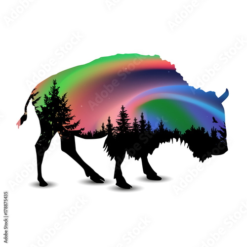 Silhouette of buffalo with coniferous trees on the background of colorful sky. Aurora.