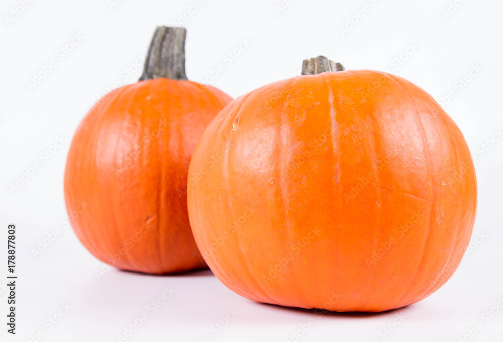 Obraz premium Pumpkin on a white background