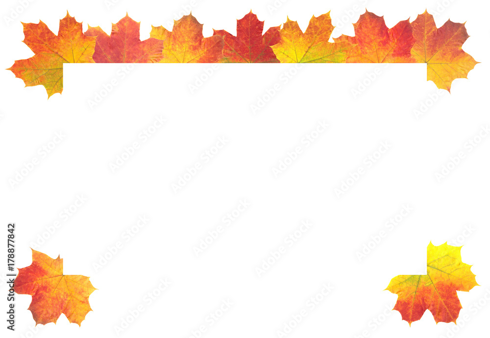 Autumn Leaves as frame on white background Autumn Leaves as frame on white background