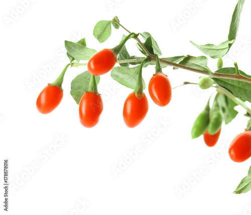 Twig with goji berries on white background