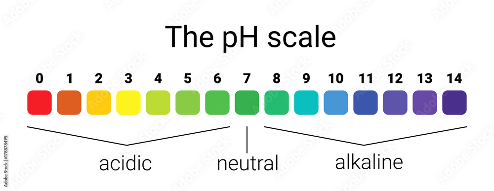 ph scale. infographic acid-base balance. scale for chemical analysis acid base.