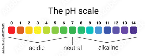 Obraz na płótnie ph scale. infographic acid-base balance. scale for chemical analysis acid base. w salonie