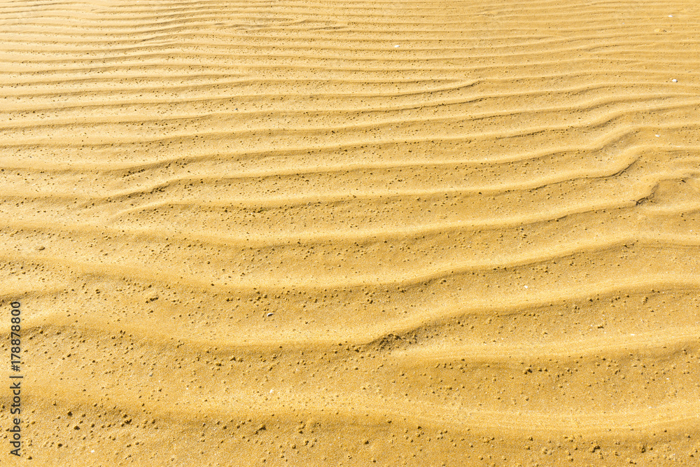 Sand Ripple Texture