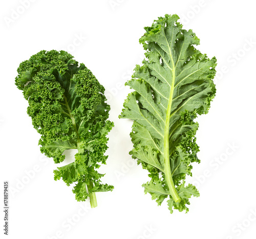 Wall Mural kale isolated on white background