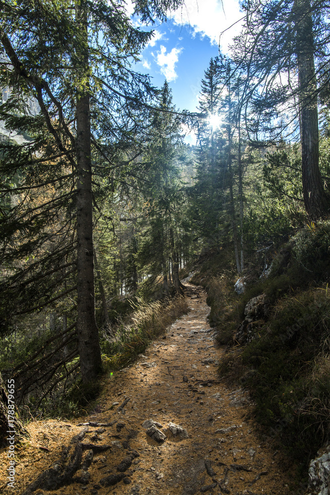 Obraz premium montagna percorso 215