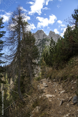 montagna percorso 215 © Ihor