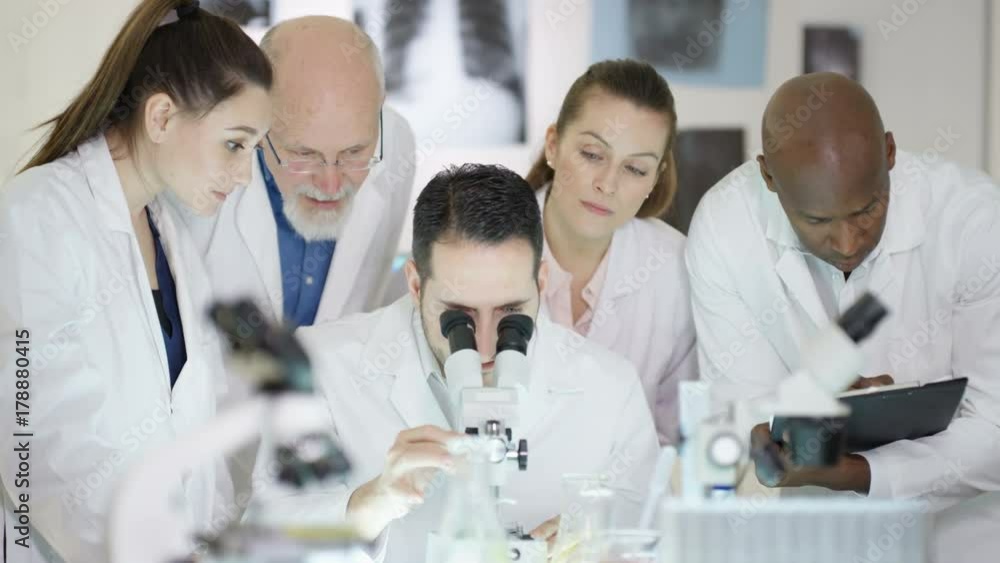 Research scientists make a discovery in the lab, looking into microscope and discussing analysis. Research scientists make a discovery in the lab, looking into microscope and discussing analysis.