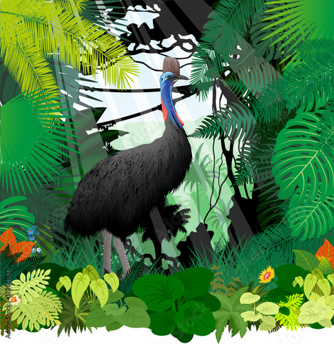 vector cassowary in jungle rainforest