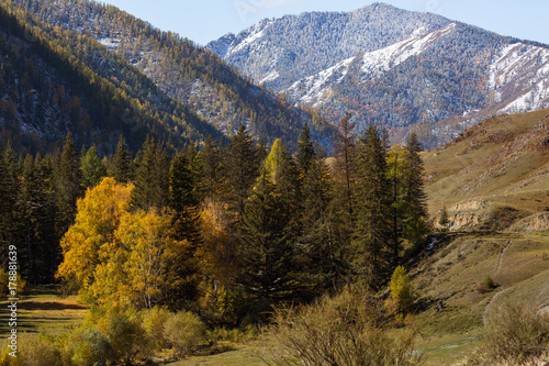 Landscapes of the Altai Mountains in autumn, Russia.