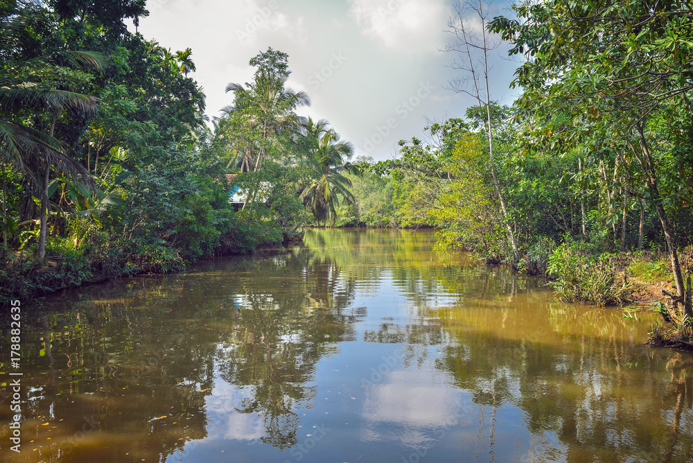 River in the rainforest in Sri Lanka