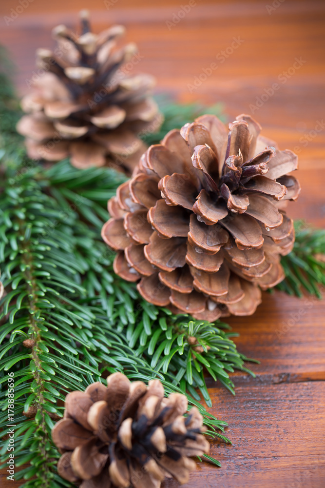 Christmas branches. Christmas greeting card. Symbol xmas. Christmas branches. Christmas greeting card. Symbol xmas.