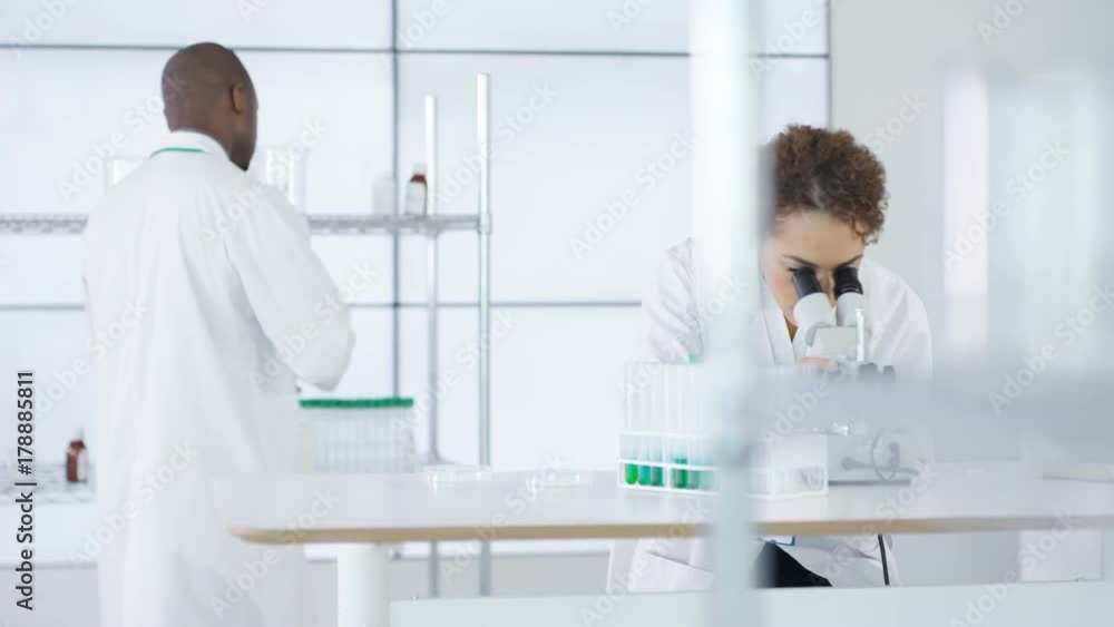 Research scientist working in laboratory, looking at sample under microscope. Research scientist working in laboratory, looking at sample under microscope.