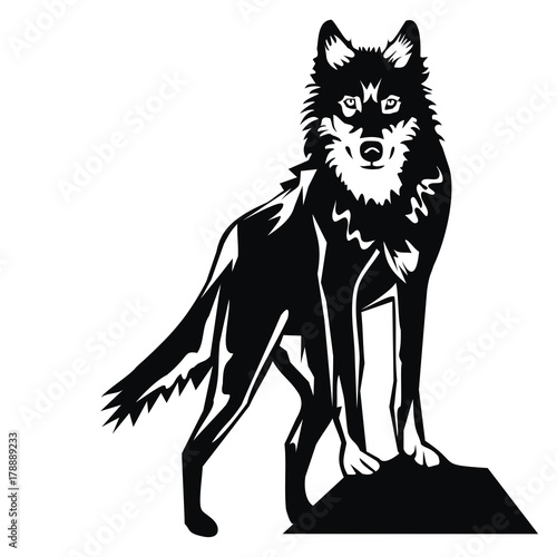 wolf