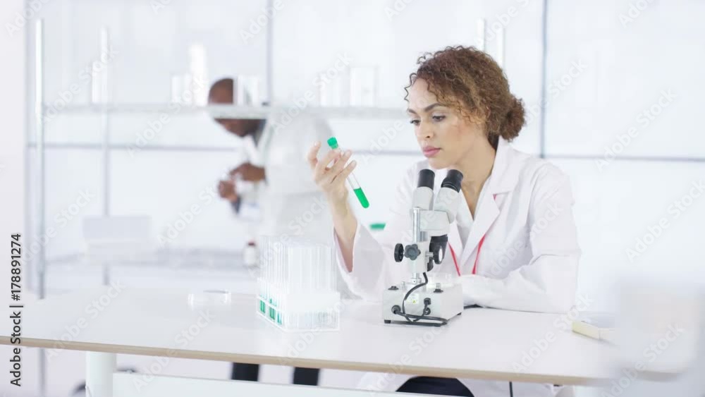 Portrait smiling medical researcher working in the lab Portrait smiling medical researcher working in the lab