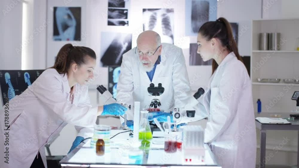 Medical research team working in the lab, senior scientist working with young researchers. Medical research team working in the lab, senior scientist working with young researchers.