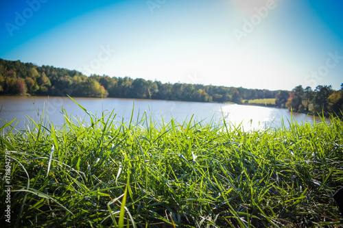 Grass and Pond photo