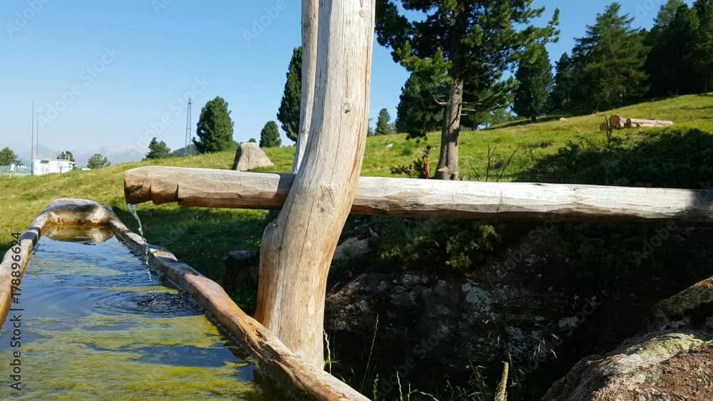 Small wooden fountain from which springs spring water, Alto Adige, South Tyrol, Italy